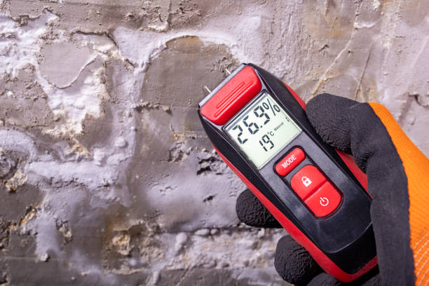 Best Residential Mold Removal  in Bloomfield, NM