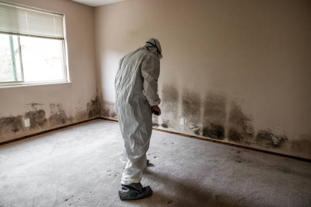 Crawl Space Mold Removal in Bloomfield, NM